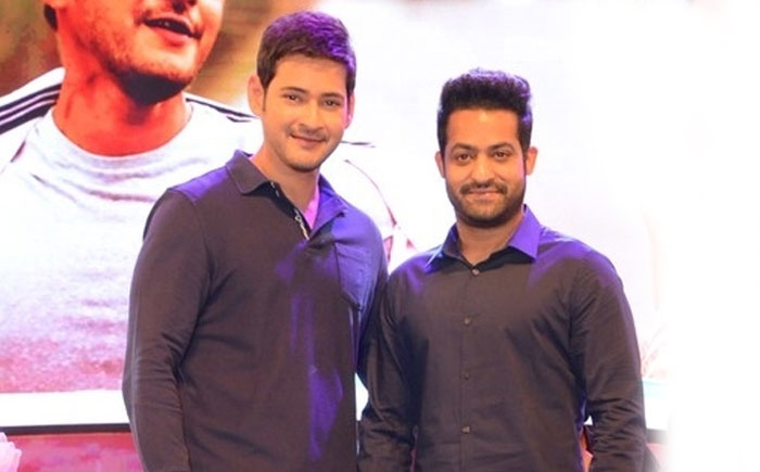 ntr,mahesh babu,bonding,movies,maharshi,aravinda sametha  ఎన్టీఆర్‌ది ఎంత పెద్ద మనసో చూడండి..! 