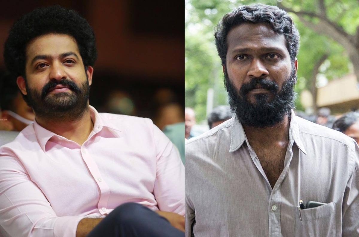 vetrimaaran,ntr  వెంట్రిమారన్ తో ఎన్టీఆర్: ఫుల్ క్లారిటీ 