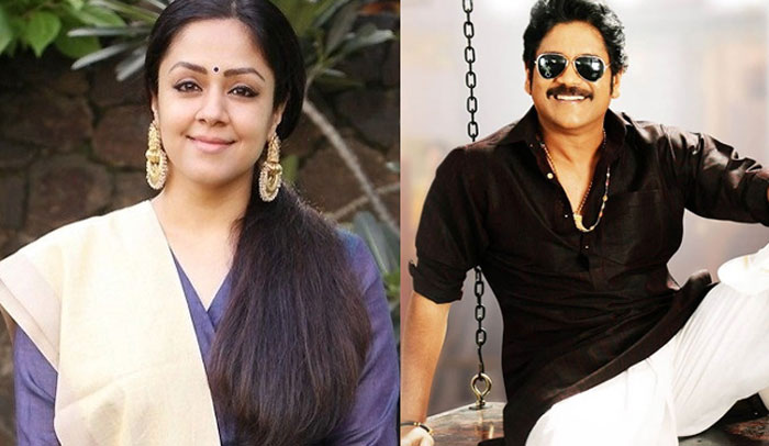 nagarjuna,jyothika,heroine,bangarraju movie  ఇంతకీ ‘బంగార్రాజు’ సరసం ఆడేది ఎందరితో? 