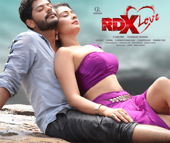 payal rajputh,exposing,rdx love,result,box office  పాయల్ పరువాలు తప్ప మేటర్ ఏం లేదు!