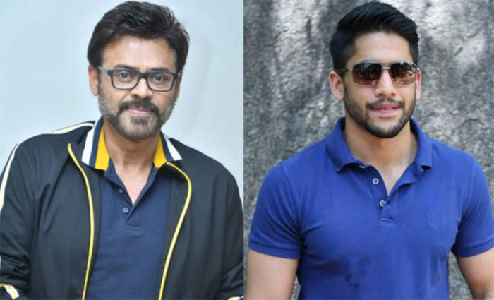 venkatesh,naga chaitanya,venky mama,heroine,payal rajput  శ్రియకు షాకిచ్చిన యంగ్ హీరోయిన్!