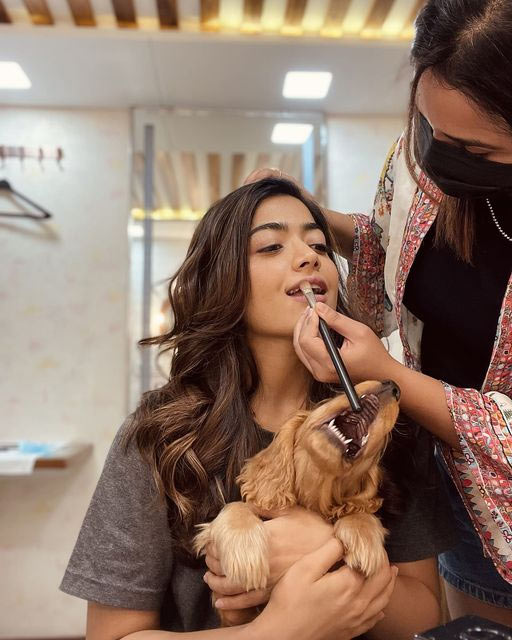 rashmika mandanna,pet aura,rashmika per dog aura,rashmika mandanna latest pic viral  పిక్ టాక్: పెట్ ఆరా తో రష్మిక  