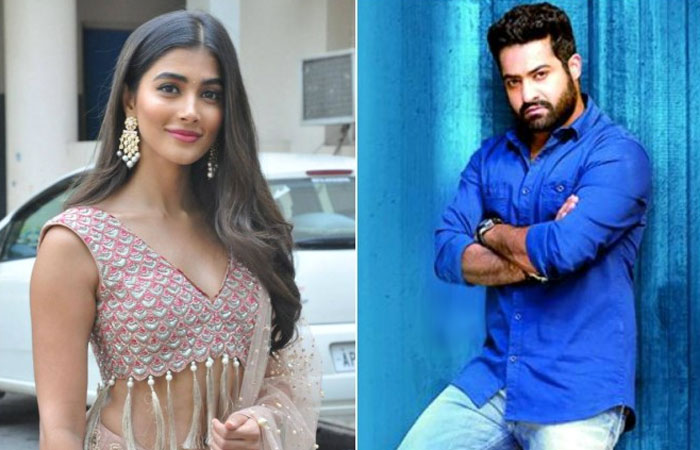 pooja hegde,fears,ntr,trivikram srinivas  ఎన్టీఆర్ అంటే ఈ హీరోయిన్కి భయమంట!