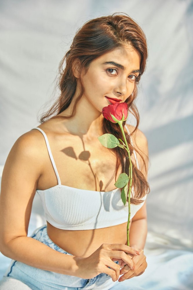 pooja hegde,pooja hegde latest photos,pooja hegde glamour look  బుట్టబొమ్మ బ్యూటిఫుల్ ఫోజ్