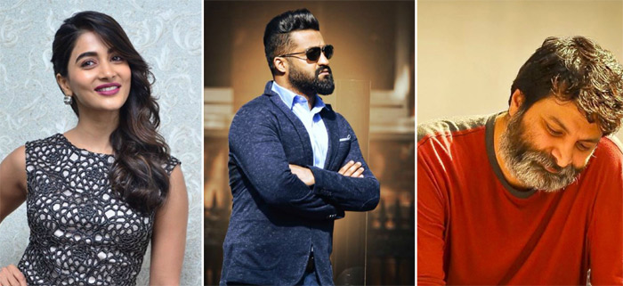 pooja hegde,jr ntr,trivikram srinivas,radhakrishna,heroine  యంగ్ టైగర్ ఎన్టీఆర్ కి హీరోయిన్ ఫిక్స్..!