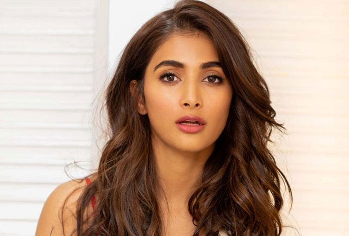 pooja hegde,sorry,ranbir kapoor,bollywood,movies  పూజా హెగ్డే ఆ హీరోకి ఎందుకు సారీ చెప్పింది?