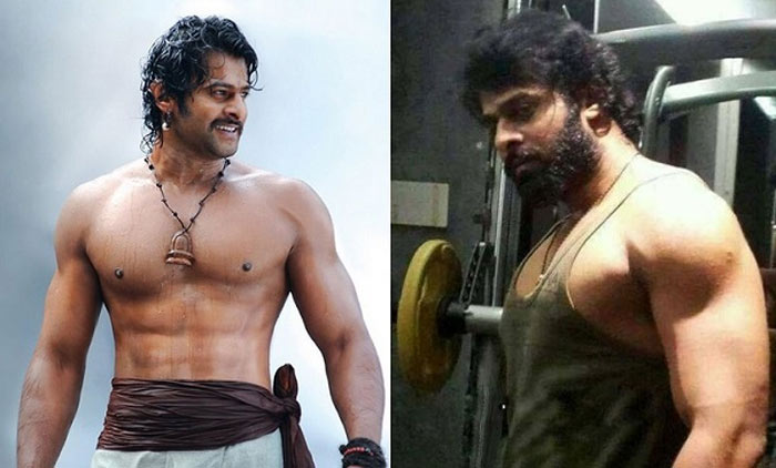 prabhas,saaho,stunts,shraddha kapoor,director sujeeth  'సాహో' ప్రభాస్ నిర్ణయానికి హ్యాట్సాఫ్!