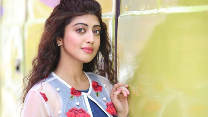 praneetha,disappoint,movie offers,attharintiki daredi  పాపం ప్రణీతకే ఎందుకిలా..?