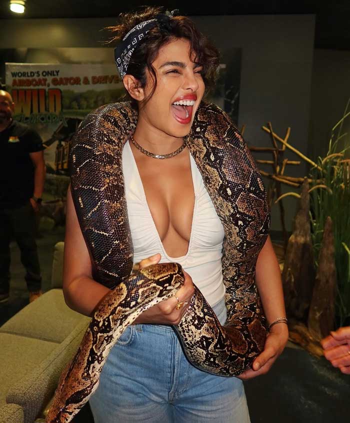 priyanka chopra  పైథాన్ని నెక్లెస్లా ధరించిన గ్లోబల్ ఐకాన్
