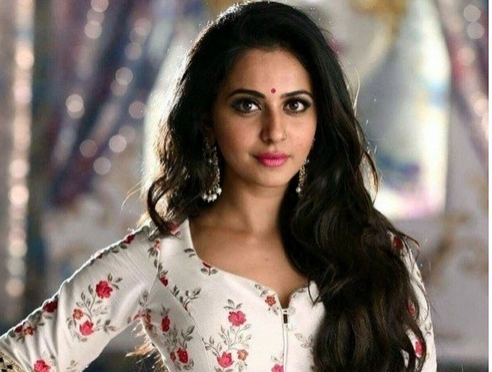 rakul preet singh,disappoints,karthi,dev movie  ఇప్పుడు రకుల్ పాప పరిస్థితేంటి?