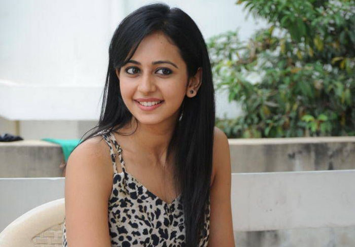 rakul preet singh,samatha,nagarjuna,manmadhudu 2,movie  సమంత పవర్‌ఫుల్‌ ఉమెన్: రకుల్