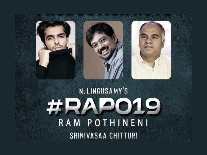 hero ram,lingusamy,movie announced,srinivasaa chitturi  రామ్ కొత్త సినిమా ప్రకటన వచ్చేసింది