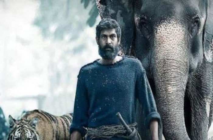 rana daggubati,aranya,movie,postpone,corona effect  కరోనా కారణంగా.. రానా ‘అరణ్య’ ఆలస్యంగా!