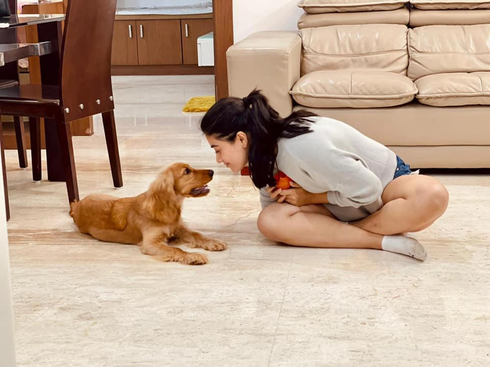 rashmika,rashmika mandanna,rashmika adorable pics with her dog  పెట్ తో రష్మిక బ్యూటిఫుల్ పిక్స్ 