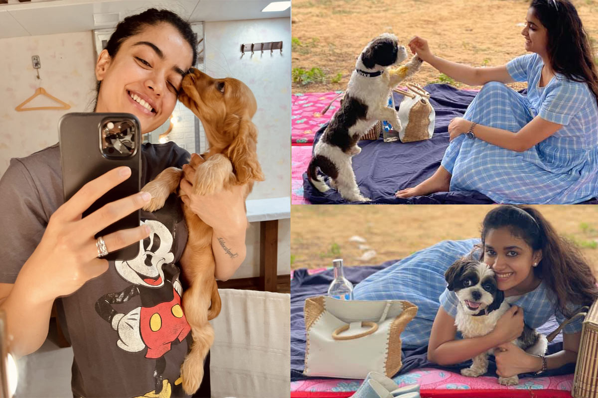 rashmika mandanna,keerthy suresh,heroine with pets,rashmika mandanna and keerthy suresh,charmee,anjali  రష్మిక అలా.. కీర్తి ఇలా