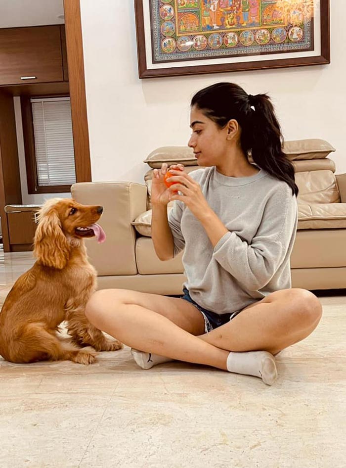 rashmika,rashmika mandanna,rashmika adorable pics with her dog