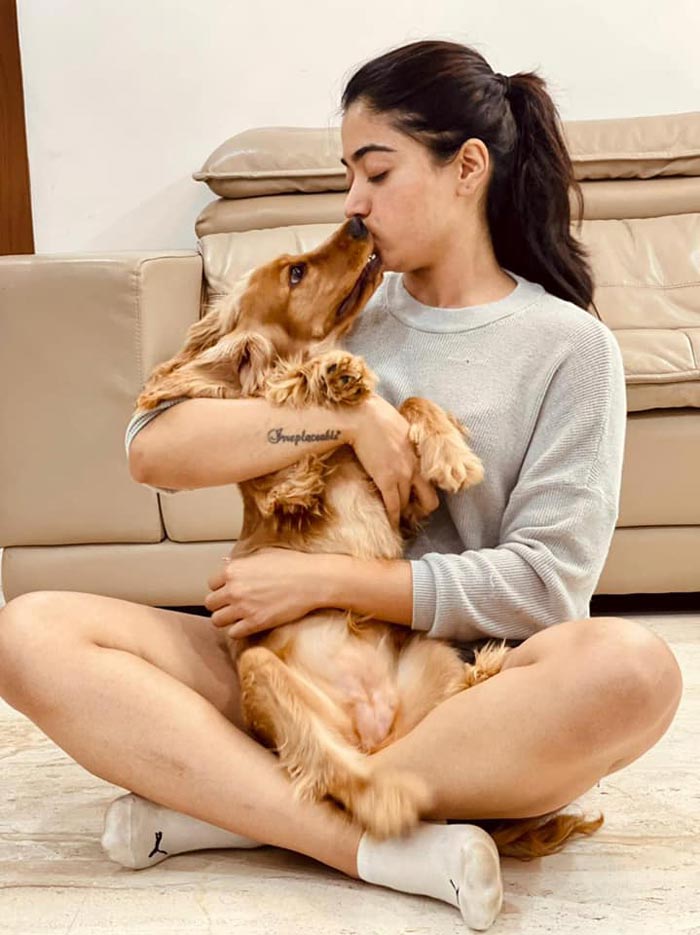 rashmika,rashmika mandanna,rashmika adorable pics with her dog