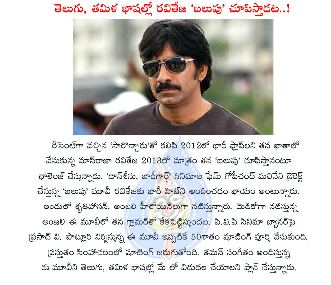 raviteja,balupu,raviteja balupu movie details,raviteja balupu movie in 2 languages,massraja,raviteja movies,flop hero,2012,raviteja balupu movie shooting details,gopichand malineni director,pvp cinema  raviteja, balupu, raviteja balupu movie details, raviteja balupu movie in 2 languages, massraja, raviteja movies, flop hero, 2012, raviteja balupu movie shooting details, gopichand malineni director, pvp cinema