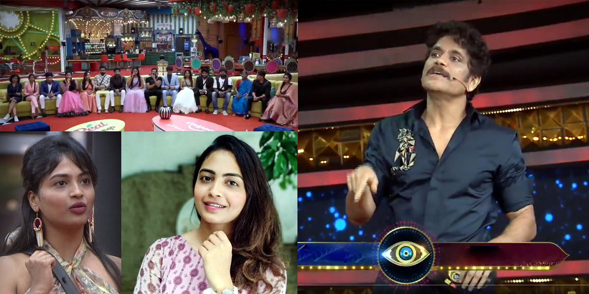 review on bigg boss-4,sunday twists,akkineni nagarjuna,dethadi harika,elimination,safe game,ipl  బిగ్‌బాస్‌లో ఎవరూ ఊహించని ట్విస్ట్!