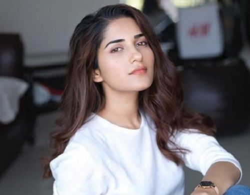 ruhani sharma,hit,nani< sushanth,rahul ravindran   లాక్డౌన్ ని సరిగ్గా వినియోగించుకుంటున్న హీరోయిన్..