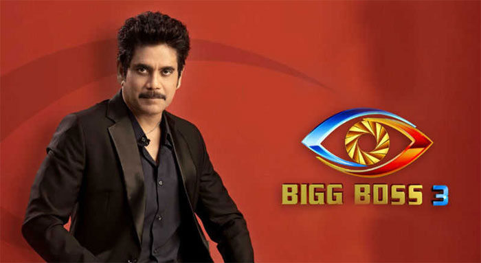 politics,bigg boss,telugu,season 3  బిగ్ బాస్ సీజన్ 3.. శ్రీముఖి కోసమేనా?