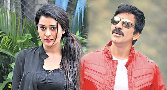 payal rajput,ravi teja,vi anand,new movie,nabha natesh  రవితేజకు రాజ్‌పుత్ ఫిక్సయినట్లే..!