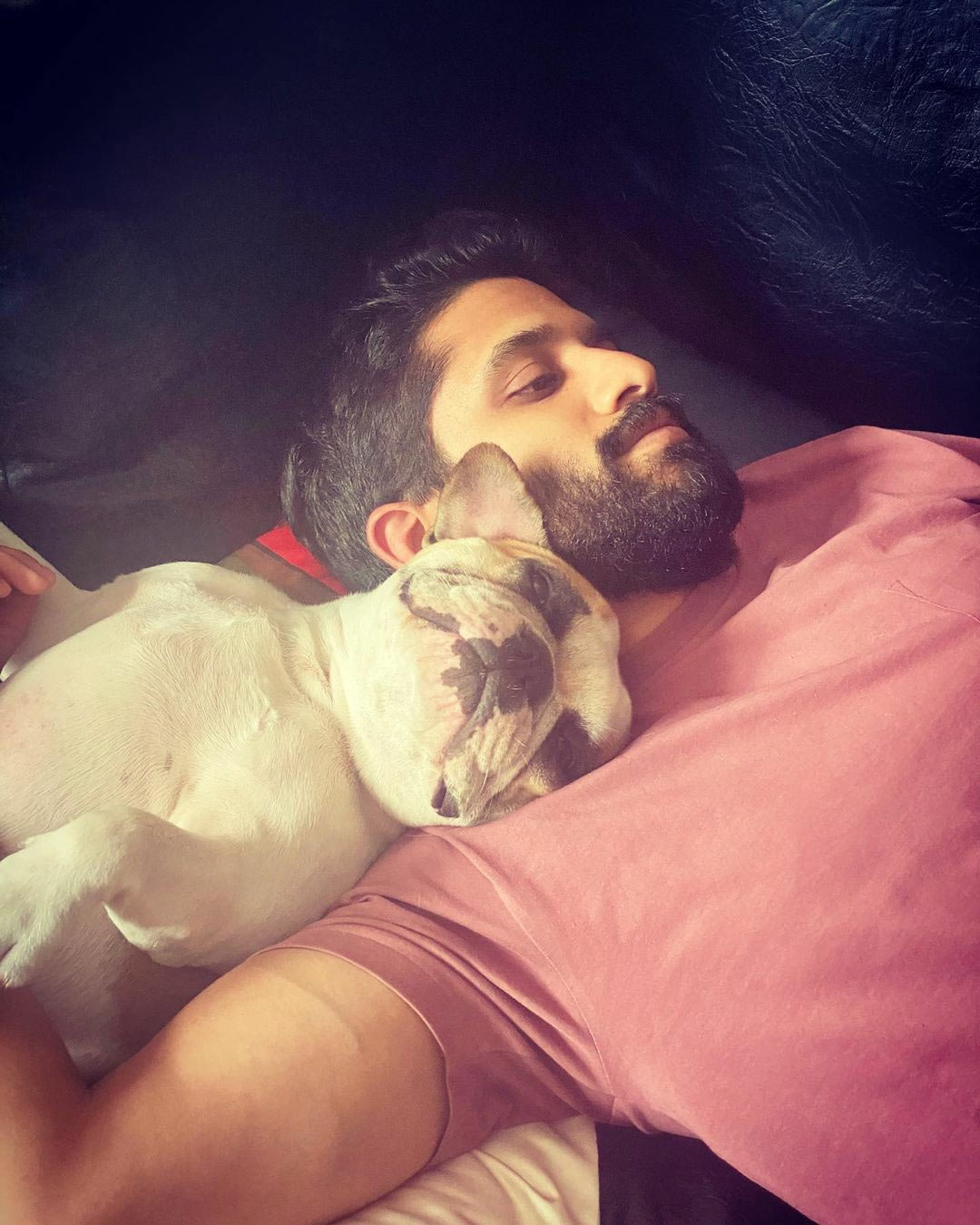 naga chaitanya,love story,love story promotions,hash akkineni,samantha akkineni,lovey moments,pet dog hash,national pets day  హాష్ అక్కినేనితో రిలాక్స్ అవుతున్న చైతు 