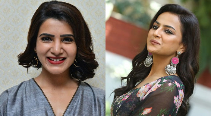 samantha,shraddha srinath,middle class wife, majili,jersey  మిడిల్ క్లాస్ భార్యలుగా ఇరగదీశారు