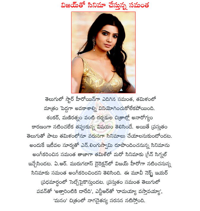 samantha,samantha with vijay,samantha eye in tamil industry also,samantha acted movie,samantha as selected in vijay and muragados film,samantha top heroine,film actress samantha,samantha top place in tamil and telugu  samantha, samantha with vijay, samantha eye in tamil industry also, samantha acted movie, samantha as selected in vijay and muragados film, samantha top heroine, film actress samantha, samantha top place in tamil and telugu