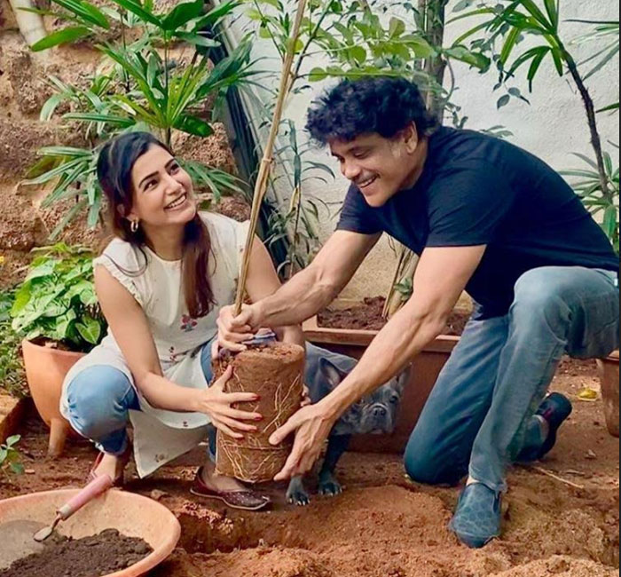 samantha akkineni,green india challenge,rashmika mandanna,keerthi suresh,nagarjuna  కీర్తి, రష్మికలకు ఛాలెంజ్ విసిరిన సమంత!