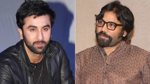 sandeep reddy vanga,ranbir kapoor,shahid kapoor,kabir singh,arjun reddy  సంచలన దర్శకుడి తర్వాతి చిత్రం.. ఇంకా సస్పెన్సే.