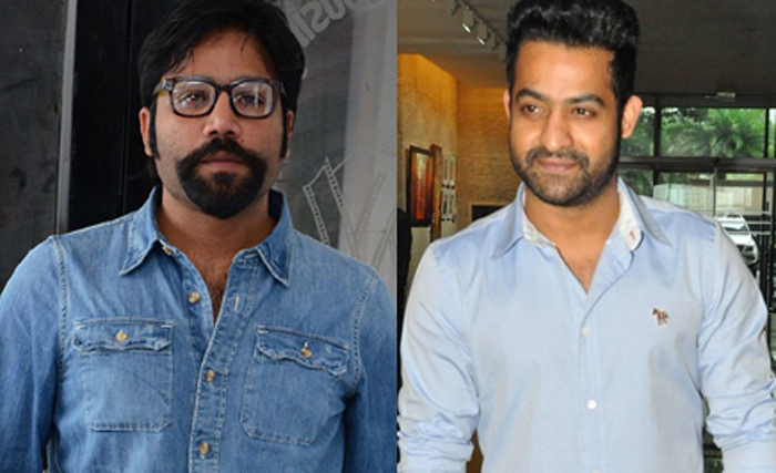 sandeep vanga,ntr,arjunreddy,rrr,kabir singh,shahid kapoor,  యంగ్ టైగ‌ర్‌ని ప‌ట్టిన క్రేజీ డైరెక్ట‌ర్‌?