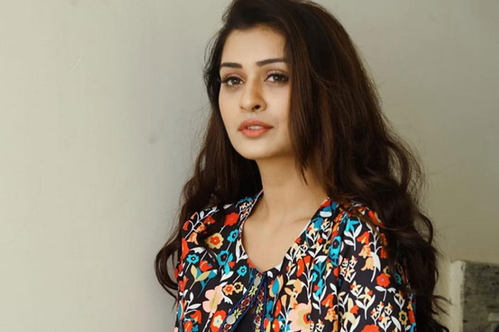 payal rajput,out,bellamkonda srinivas,film  ఆర్ఎక్స్ 100 బ్యూటీకి షాకిచ్చారు