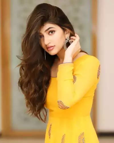 sreeleela  శ్రీలీల ఎక్సట్రాడినరీ హడావిడి 