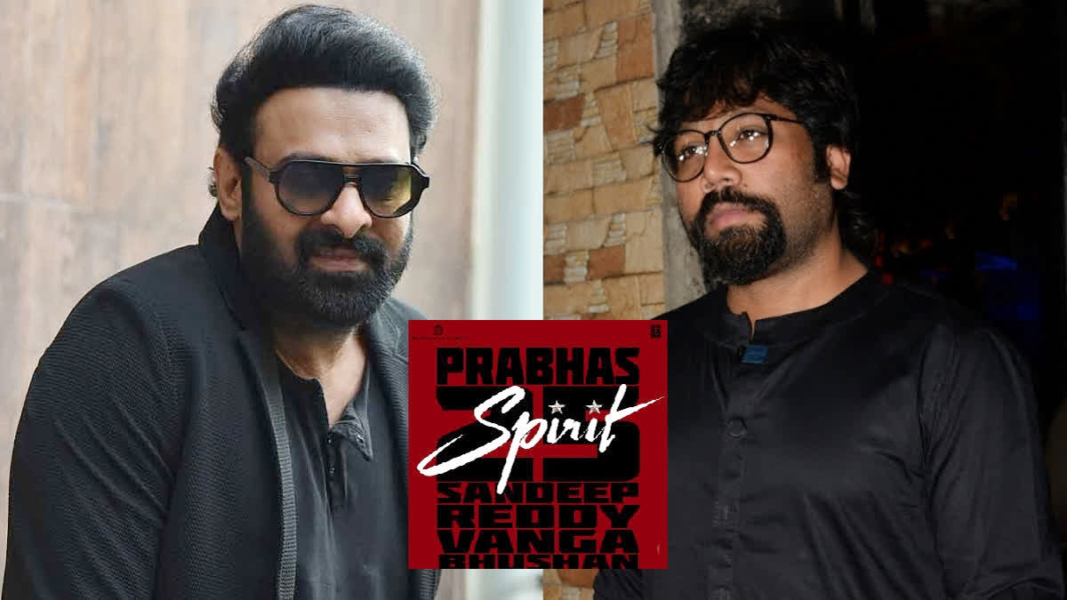 spirit  స్పిరిట్ యానిమ‌ల్ సీక్వెల్‌నా?