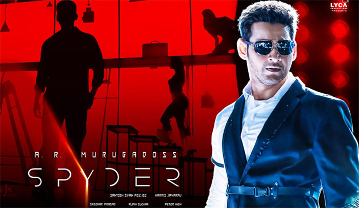 spyder,mahesh babu,spyder 1st week collections,murugadoss  స్పైడర్ మొదటివారం లెక్కలిలా వున్నాయ్!