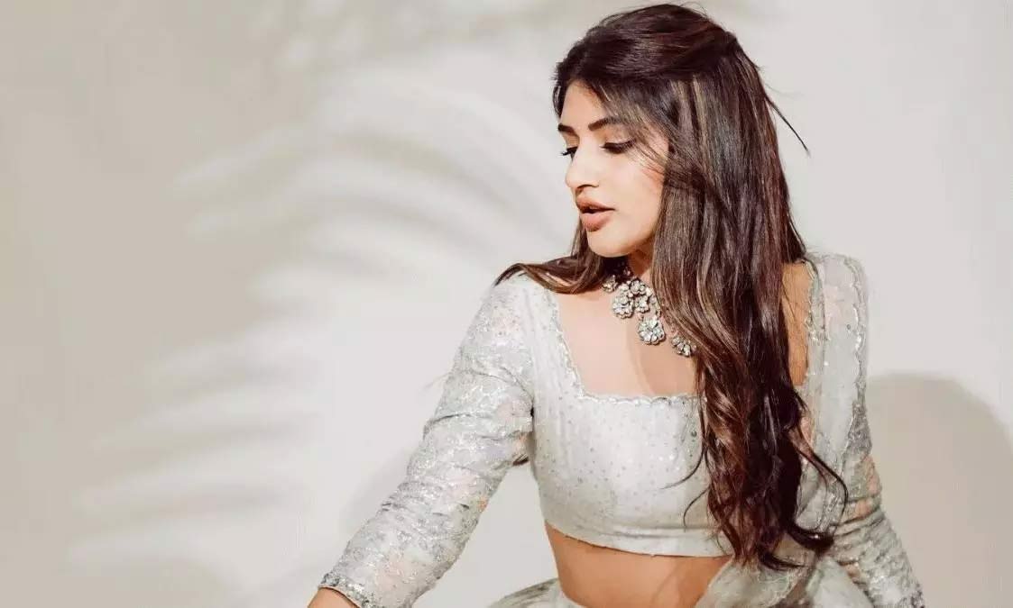 sreeleela  హిట్ సినిమా ని మిస్ చేసుకున్న శ్రీలీల 