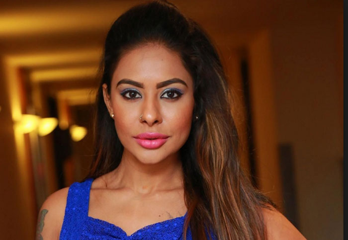 sri reddy,nani,counter attack,social media  శ్రీరెడ్డి.. నానిని ఇక వదలదా? 