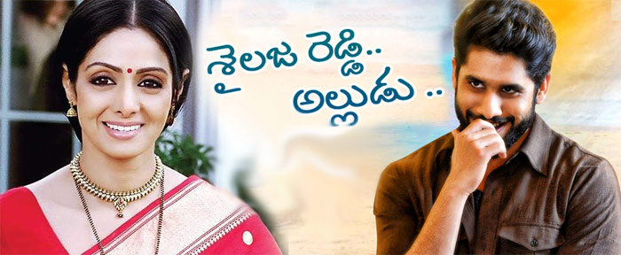 naga chaitanya,sailaja reddy alludu,sridevi,ramya krishna  శైలజా రెడ్డిపై అభిప్రాయం మారిందా?