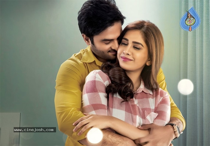 nannu dochukunduvate,trailer,release  ట్రైలర్‌తో నిజంగానే దోచుకున్నారు..!