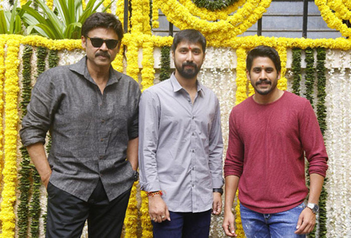 venky mama,naga chaitanya,venkatesh,bobby,suresh babu,venky mama movie  ‘వెంకీమామ’ ఆగిపోయిందని చెప్పిందెవర్రా?