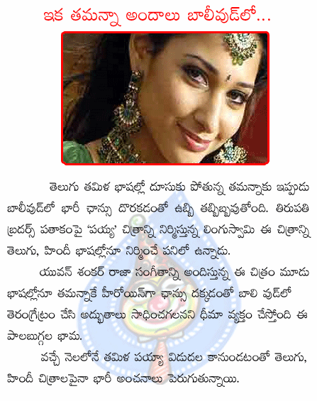 tamanna,payya,lingu swami,tollywood,kollywood,ballywood  tamanna, payya, lingu swami, tollywood, kollywood, ballywood