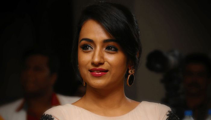 income tax case,actress trisha,madras hc,trisha krishnan  త్రిష.. కేసు గెలిచింది.. కోటి మిగిలింది! 