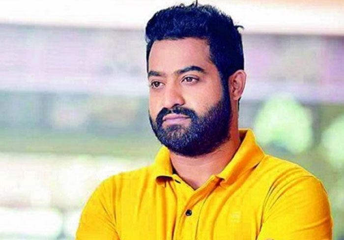 jr ntr,chandrababu naidu,tdp,jr ntr publicity,balakrishna  బాలయ్య వద్దు.. ఎన్టీఆరే ముద్దు అంటున్నారు! 