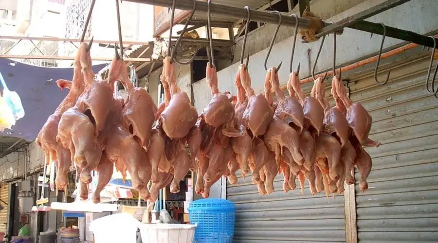 telangana  ఈ రోజు నుంచి నాన్ వెజ్ ప్రియులకు షాక్ 