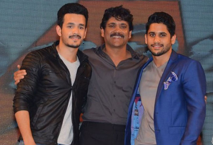 nagarjuna,naga chaitanya,akhil,3 seasons,movies  మూడు సీజన్లను వదలమంటున్నారు