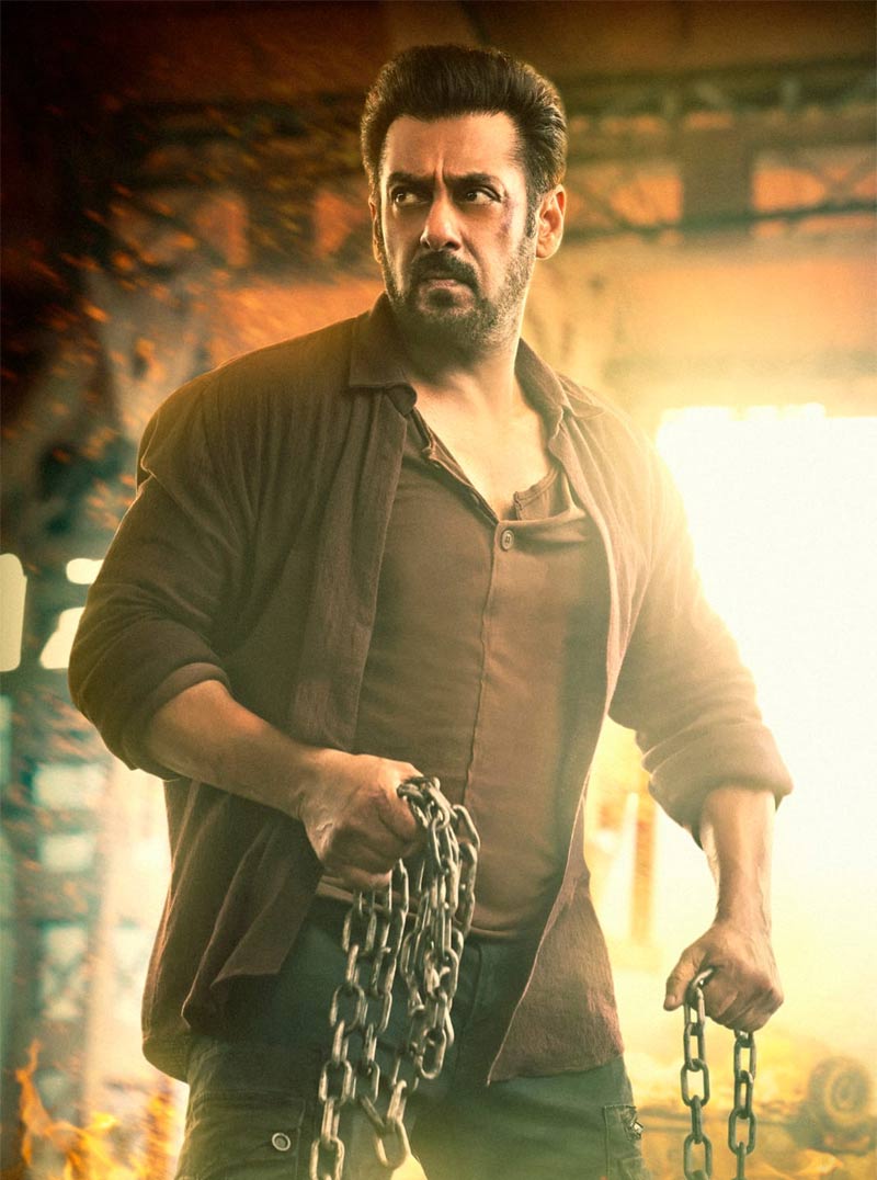 salman khan  టైగర్ ఆయుధం లేకుండానే.. 