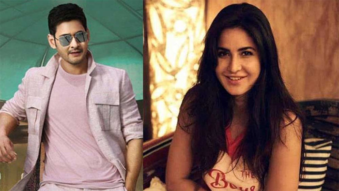 katrina kaif,mahesh babu,sukumar,malliswari  ‘మహర్షి’ తో ‘మల్లీశ్వరి’.....? 