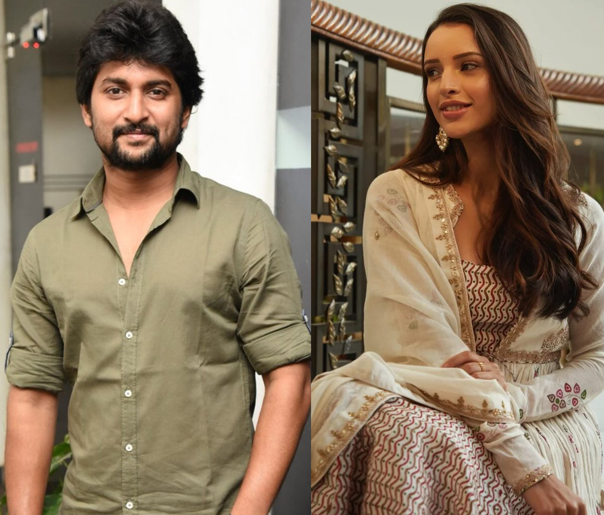 tripti dimri nani  ప్రభాస్ హీరోయిన్ కి నాని ఛాన్స్