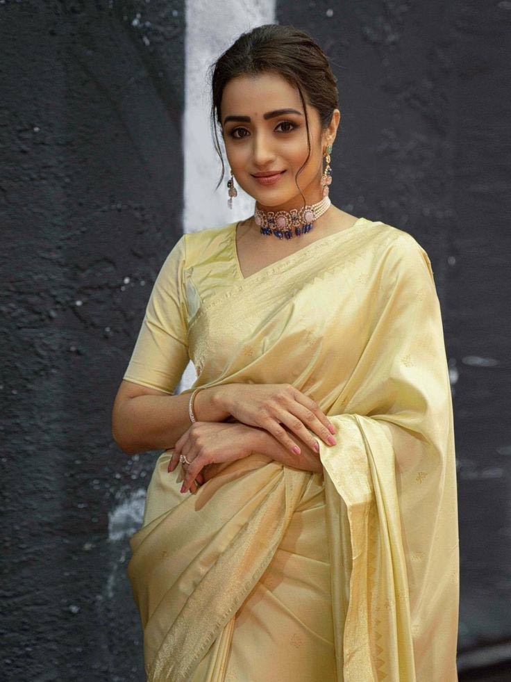 trisha  త్రిష రాజకీయ అరంగేట్రం